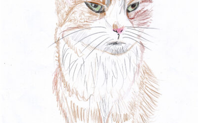 Vår underbara Chili