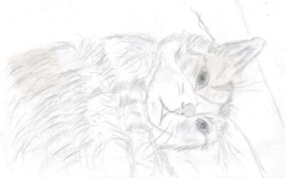 En skiss av en trött Chili