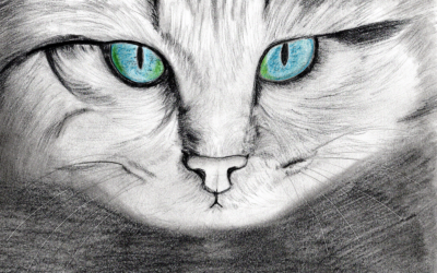 Katt i blyerts med färgade ögon